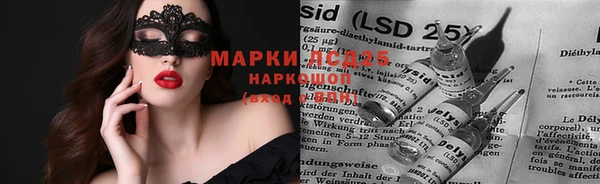 индика Ладушкин