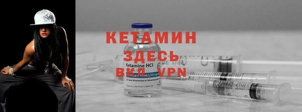 индика Ладушкин