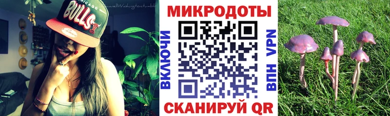 Купить где  Буйнакск  Псилоцибиновые грибы Psilocybine cubensis 